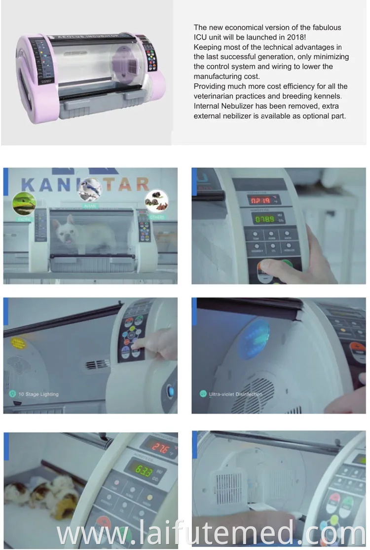 Medical Veterinary Instruments Animals Small Pet Incubators ICU Puppy Incubator for Sale